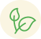 fruit-naturel-icon-tel