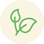 fruits-naturels-icon
