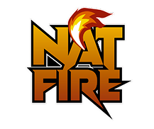 logo-footer